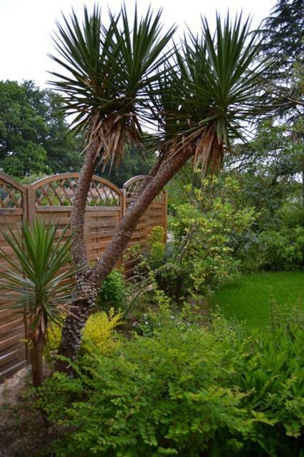 Haute-Goulaine Le Logis De Saint-Martin Bed & Breakfast エクステリア 写真